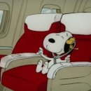 나이트크래커 이미지