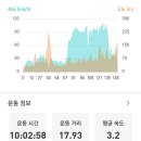 전남 완도 보길도 티스토리