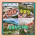 제주 협재 회포장 고등어회 딱새우 옹포횟집 만족후기