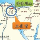 고센 이미지