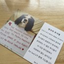 포루시스 네이버블로그
