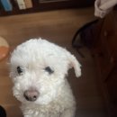 백만원분식 | [일상] 2026년 2월 셋째 주 (간단하게) 정리