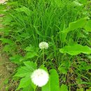 신한아파트 앞 사거리 이미지