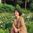 퇴직공무원협동조합 이미지