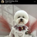 더 이쁘개 이미지