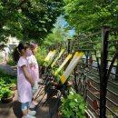 단천초등학교 이미지