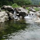 호수가 풍경소리 이미지