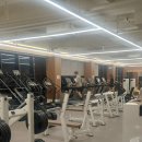 DS 피트니스 이미지