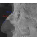 비트윈성형외과의원 이미지