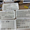 지니스안경 포항초곡삼구앞점 이미지