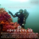 하예동-13 이미지
