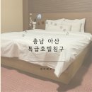 바이바우 이미지