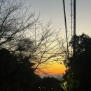 천호관 | 2025년_11월(1)