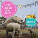 익산시보석박물관 이미지