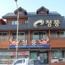 성실수산 이미지