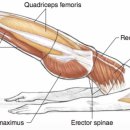 유온브릿지 이미지