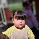 38호공원 Daum카페