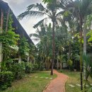 아로마뱅크위탁급식소 | [푸꾸옥 여행]26.1.15. 1일차 0.5박 라메르 리조트 메오키친, 더 클라우드, 1.16. 2일차 킹고 리트리트...