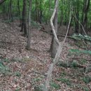 쌍지보건진료소 이미지