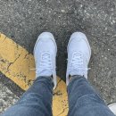 수환축산 | 221017~221023ෆ