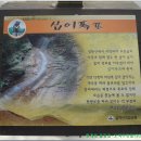 금강쉼터