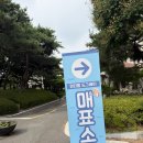 서울 근교 애견 수영장 추천! 원도풀도그베이 안성점 방문 후기