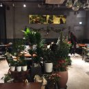 카페브로시스 이미지