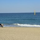 동해바다 이미지