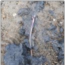 탑포어촌체험휴양마을 이미지