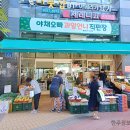야채언니 네이버블로그