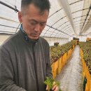연구2동 네이버블로그