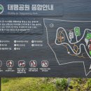 태평테니스장 이미지