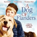 플란다스의 개 ( A Dog Of Flanders) 1960 미국 | 드라마 | 개봉 1960 이미지