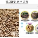 제이에스에프앤비