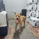 소답동225 이미지