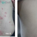 정우의학서적 이미지