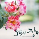 캘리그라피오월
