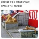 현ENC | [건축학 취준일기] 포스코건설 채용형인턴 지원 후기