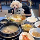 [김포 애견동반식당] 금포가든_강아지 운동장 있는 김포 고기집