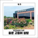 아침정원 | 제주도 맛집 아침식사 찾는다면, 장미정원까지 예쁜 중문 고등어쌈밥 후기