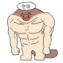 수유역 헬스 PT 5일차 후기 하이엔드짐 기구&amp;덤벨 상체 운동 루틴 초보
