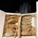 안순영만두 - 포항시 북구 죽도로 22 | 포항 맛집 “안순영만두” 포장 후기