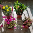 별천지경로당 이미지