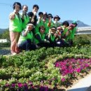 화신로-9 이미지