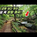 🚌 여기 서울 맞아?! 나만 알고 싶었던 도심 속 비밀 계곡과 '10km' 숲 트레킹 코스 | 📸 대중교통 당일치기 여행 | 🇰� 이미지