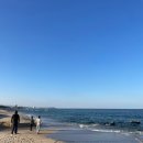 하평리 | 🌊 강릉 하평해변 해수욕장 방문 후기