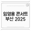 영웅체육관 | 영웅 콘서트 부산, 현장 후기와 예매 꿀팁 총정리