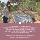 초원꽃조경