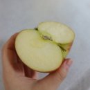 리더스팜