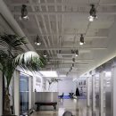 고릴라 짐 이미지